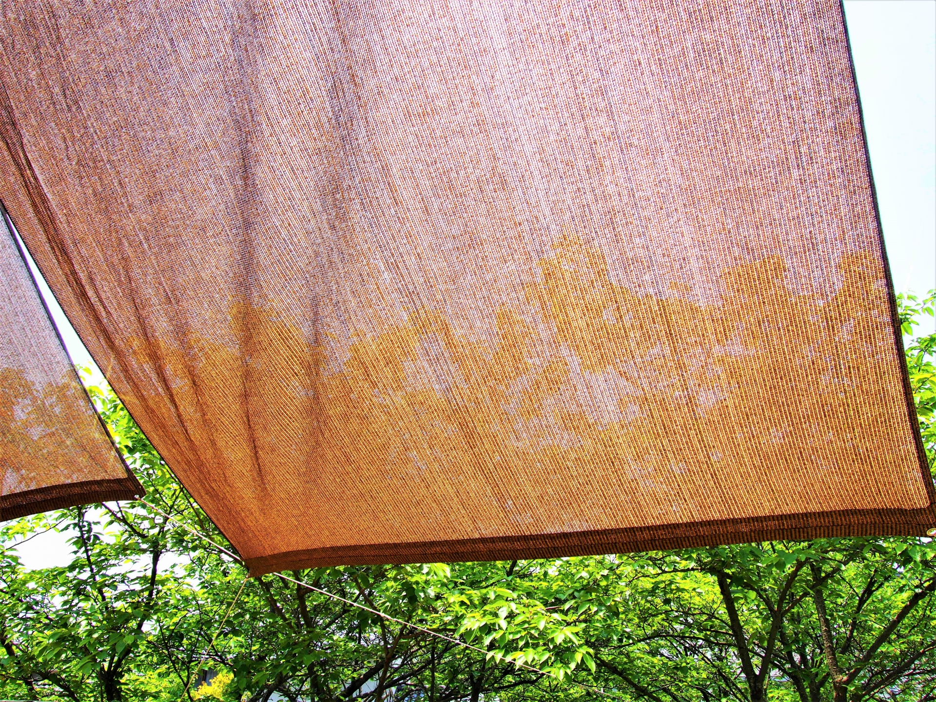 夏の暑さを乗り切る！家でできる3つの暑さ対策